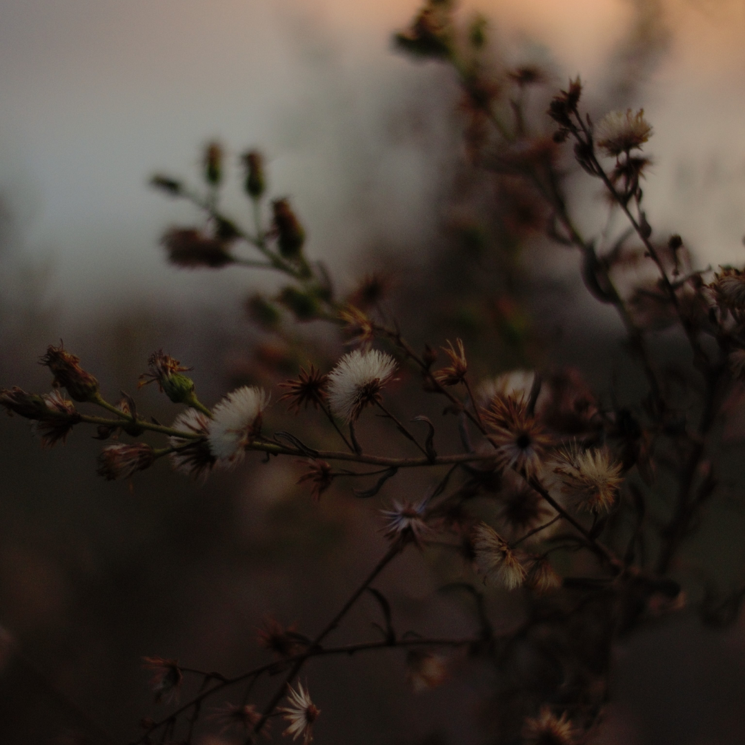 Tricky Magic Feature