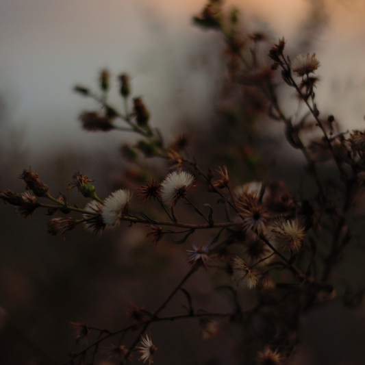 Tricky Magic Feature